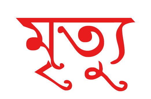 ঝিনাইদহে বিদ্যুৎস্পৃষ্টে নারীর মৃত্যু