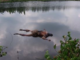 ইছামতি নদীতে ভাসমান অজ্ঞাত মৃতদেহটি ভারতের
