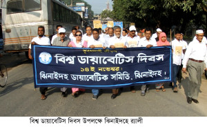 বিশ্ব ডায়াবেটিস দিবস উপলক্ষে ঝিনাইদহে নানা কর্মসূচী
