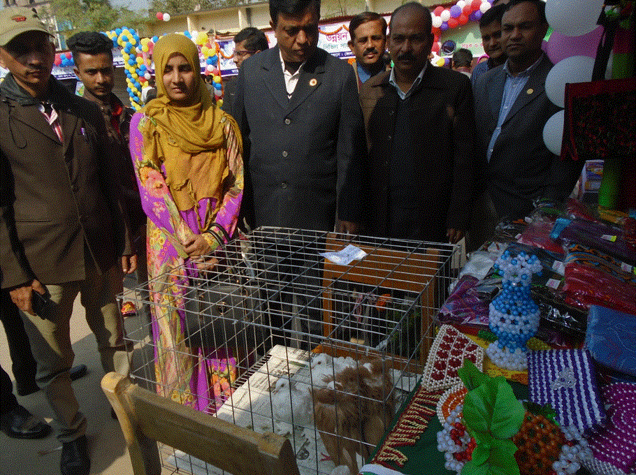 যুব উন্নয়ন অধিদপ্তরের সহযোগিতায় কবুতর পালনে স্বাবলম্বী গৃহবধূ