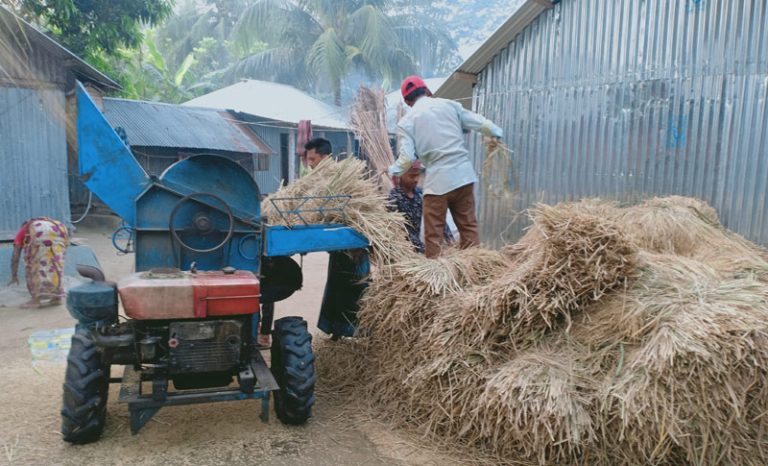 ১ মণ ধানেও মিলছে না ১ কেজি গরুর মাংস